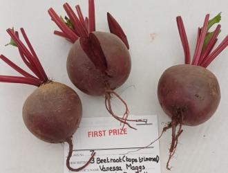 Class 7 winning exhibit
