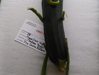Class 25 winning exhibit