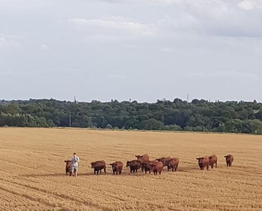 link to Protecting Burstall's Rural Character